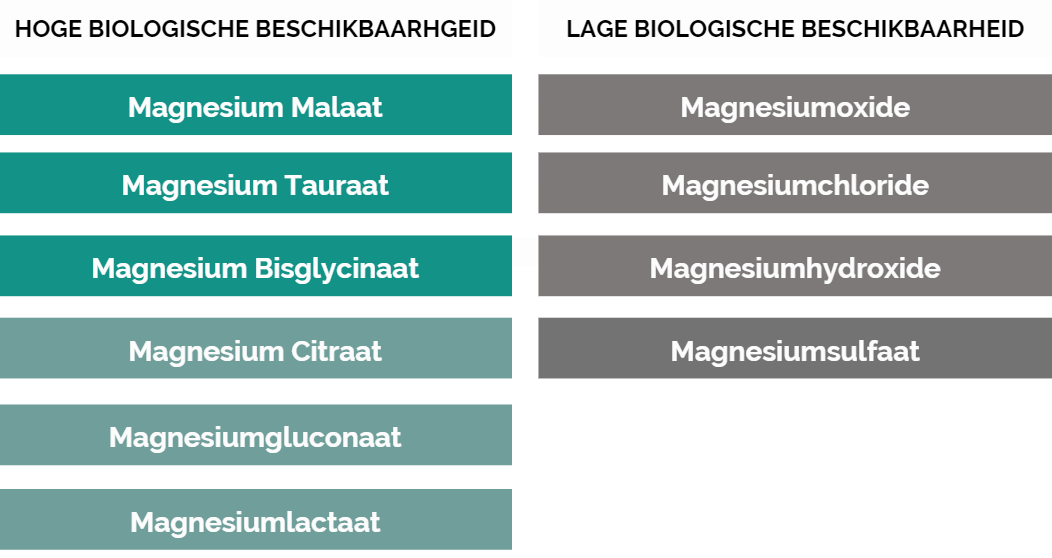 You-Mens_Magnesium Beschikbaarheid_EMB bloedtest